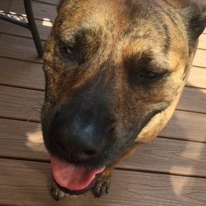 Meet your Posher, Frank